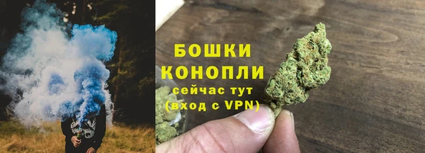 крисы Дмитровск