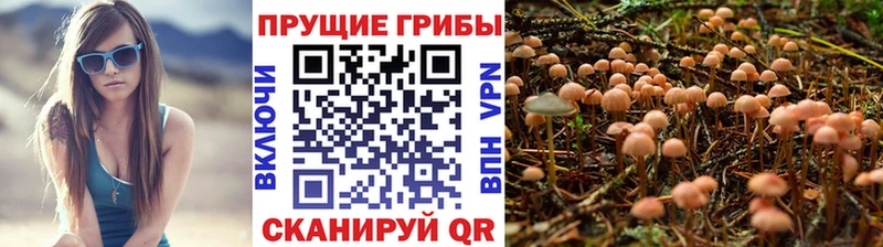 Галлюциногенные грибы мухоморы  Купить  Казань 